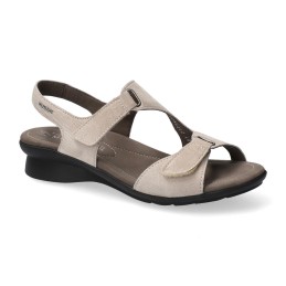 bets Taupe