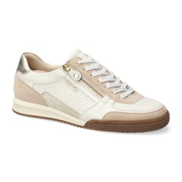 walie beige