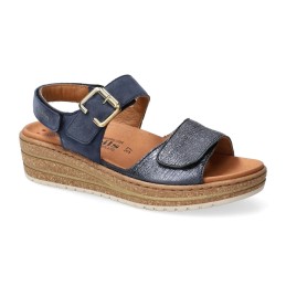 rory medianoche azul