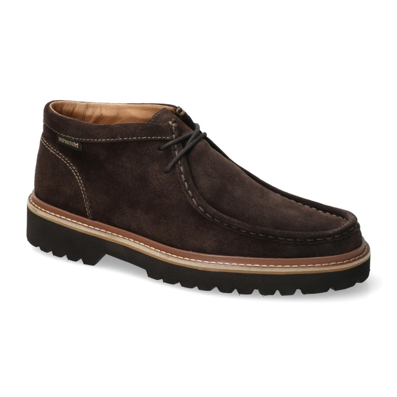 alexander dark brown
