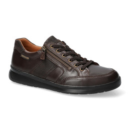 lisandro w. dark brown