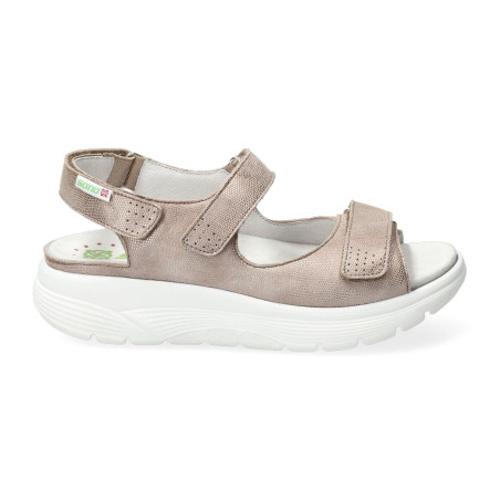 norine Taupe