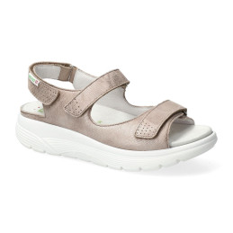 norine Taupe