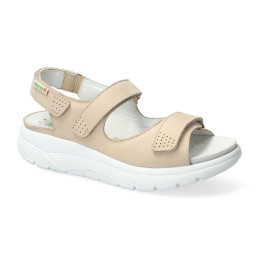 norine nude