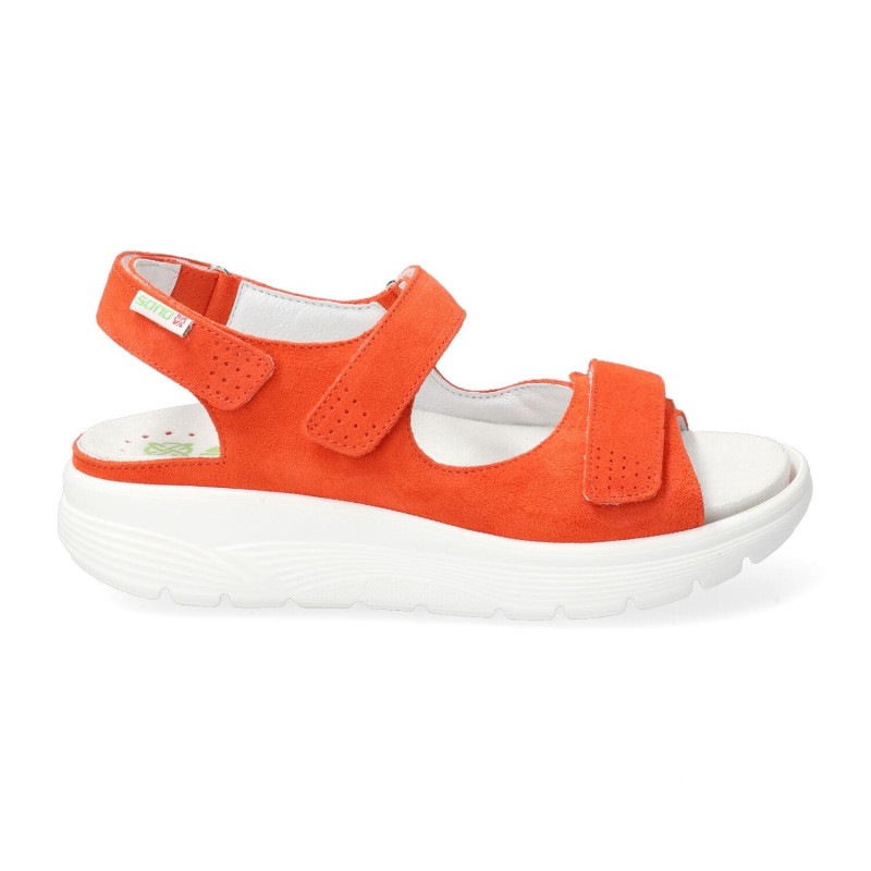 norine tangerine