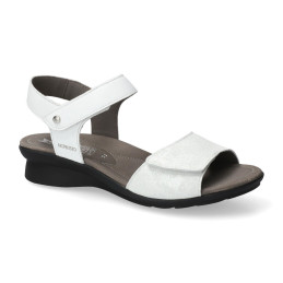 blanco pattie