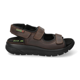 wilfried dark brown