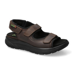 wilfried dark brown