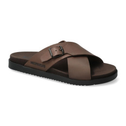 giulio dark brown