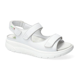norine Blanc