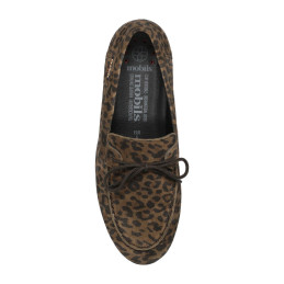 siam dark brown