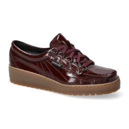 lady oxblood