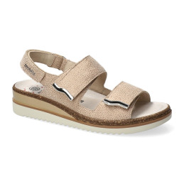 darcie sand