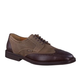 paolino dark brown